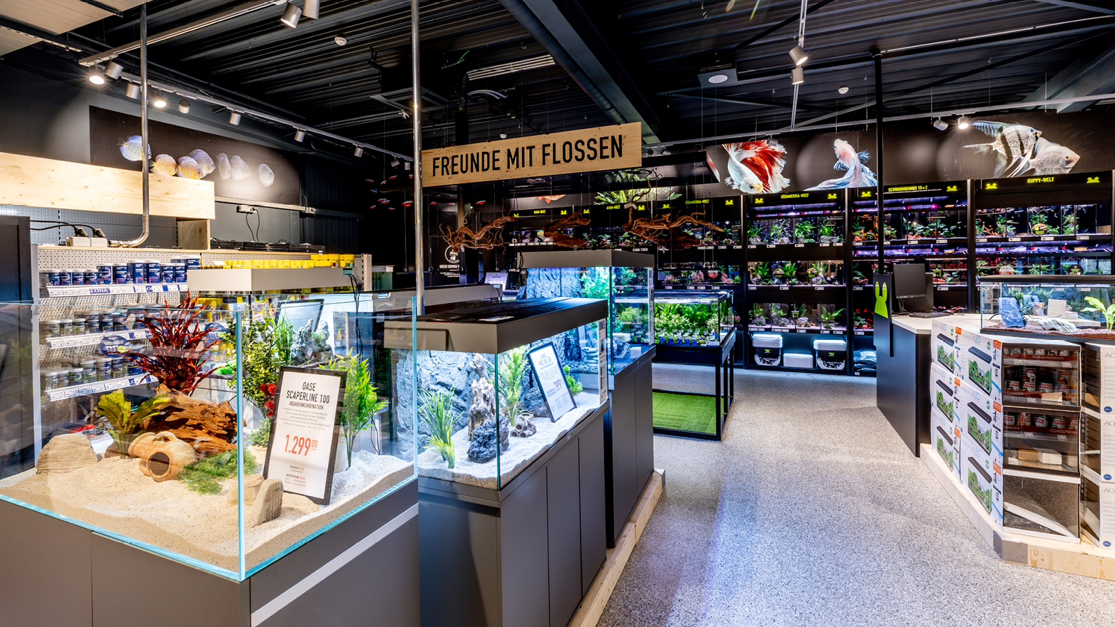 Kw48 Neueroeffnung Stvith Impressionen 768x432 7